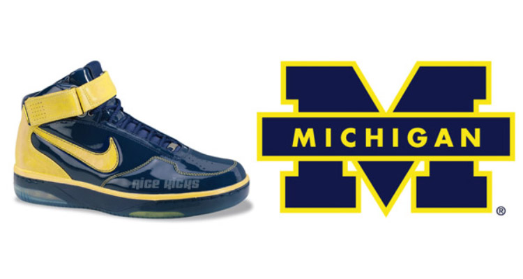 Nike Air Force 25 Michigan 316881-472