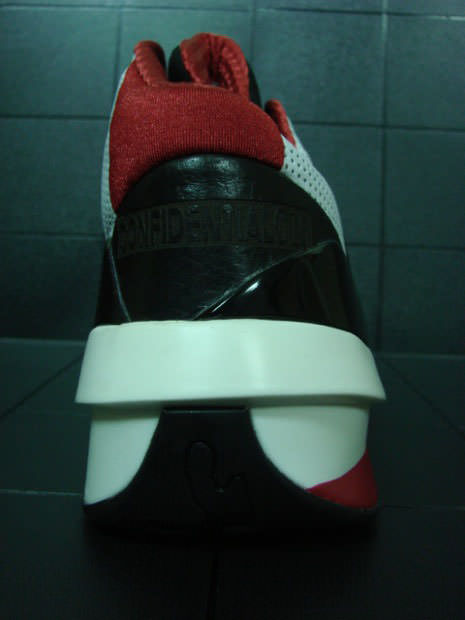 Air Jordan 2010 Windowless Sample