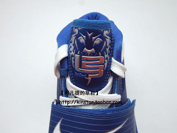 Nike Zoom Soldier IV TB