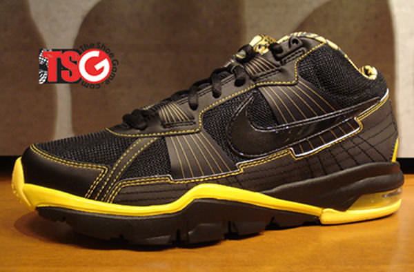 Nike Air Trainer SC 2010 - Troy Polamalu