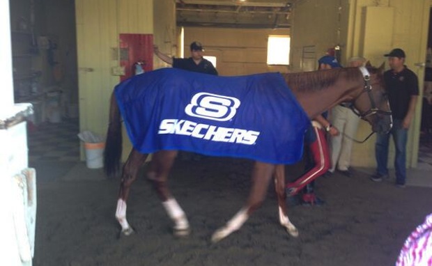 Skechers-California-Chrome-1