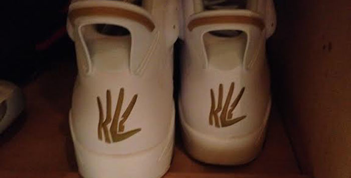 Kawhi Leonard Air Jordan