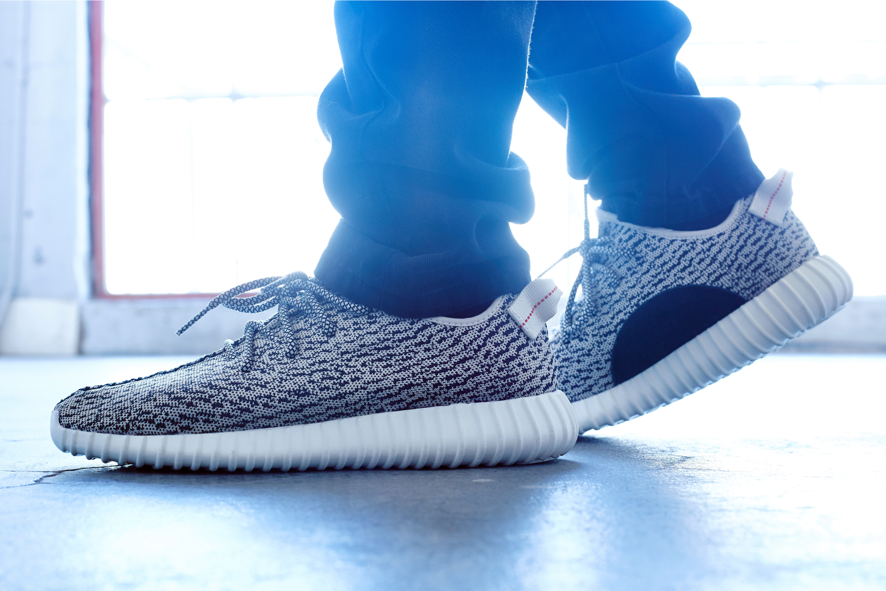 adidas Yeezy Boost 350 Turtle Dove