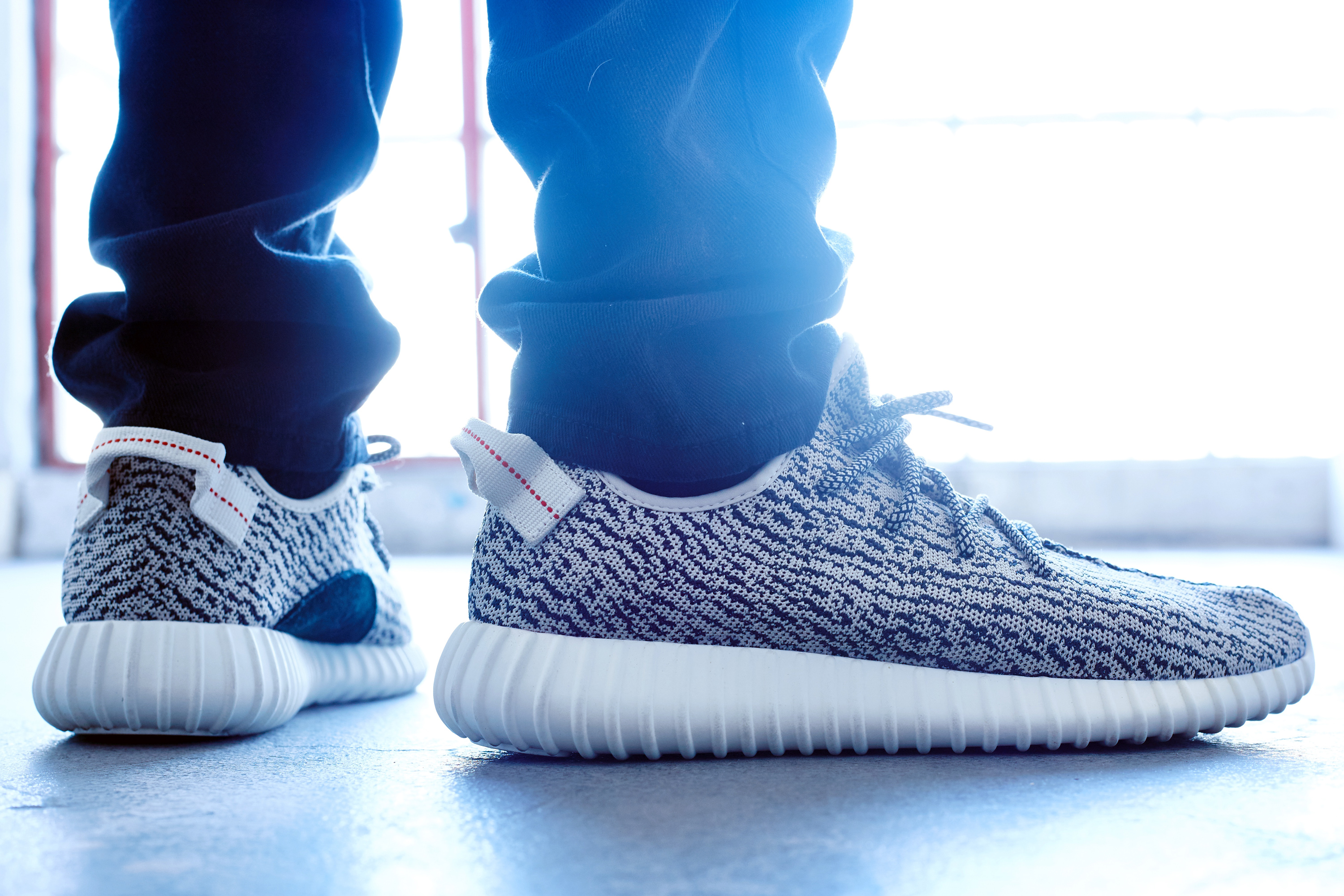 adidas Yeezy Boost 350 Turtle Dove