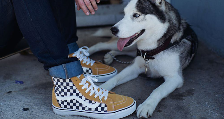 Vans Checkerboard Collection