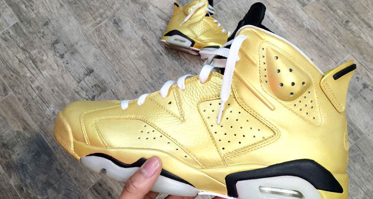 Air Jordan 6 "Trophies" Custom