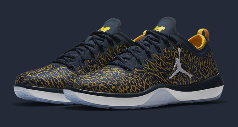 Air Jordan Trainer 1 Wolverines