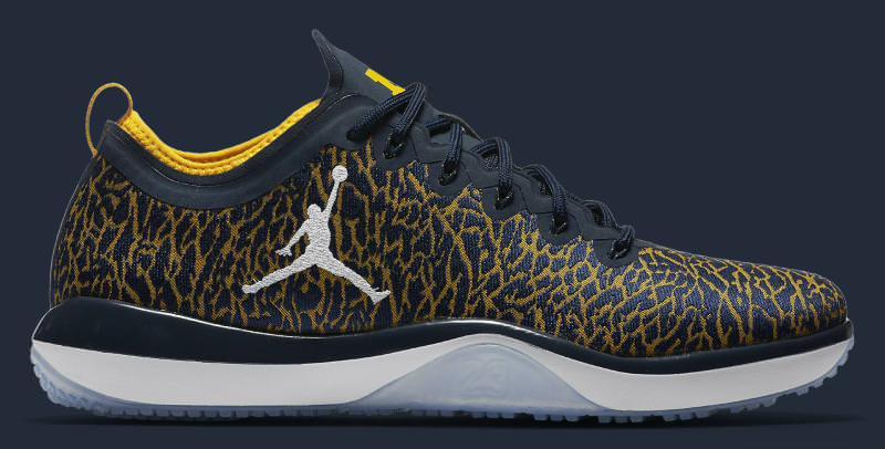 Air Jordan Trainer 1 Wolverines