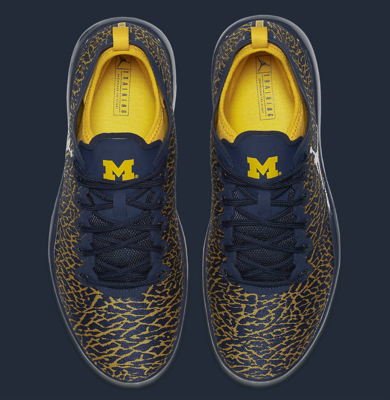 Air Jordan Trainer 1 Wolverines