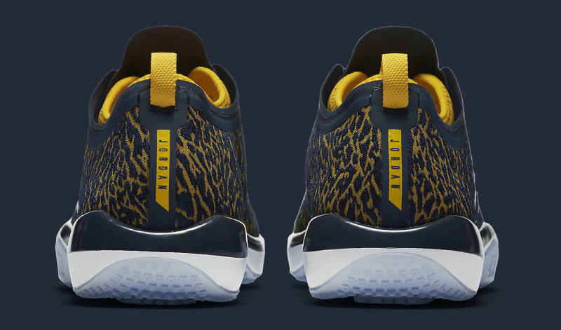 Air Jordan Trainer 1 Wolverines