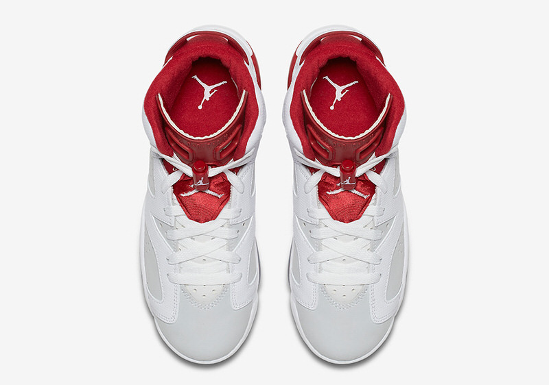 Air Jordan 6 "Alternate"