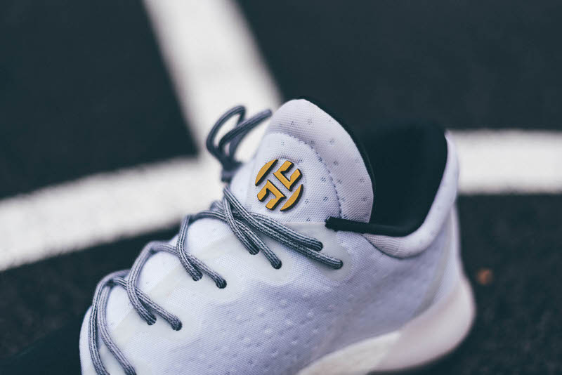 adidas Harden Vol. 1 "Disruptor"