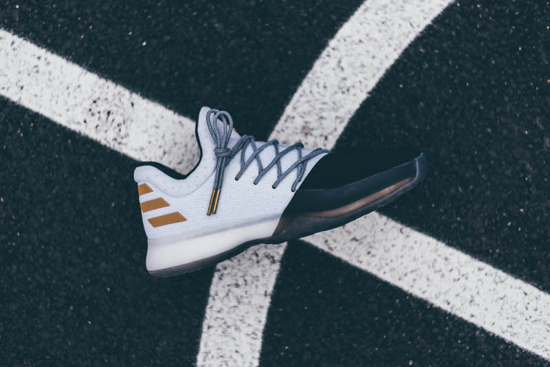 adidas Harden Vol. 1 "Disruptor"