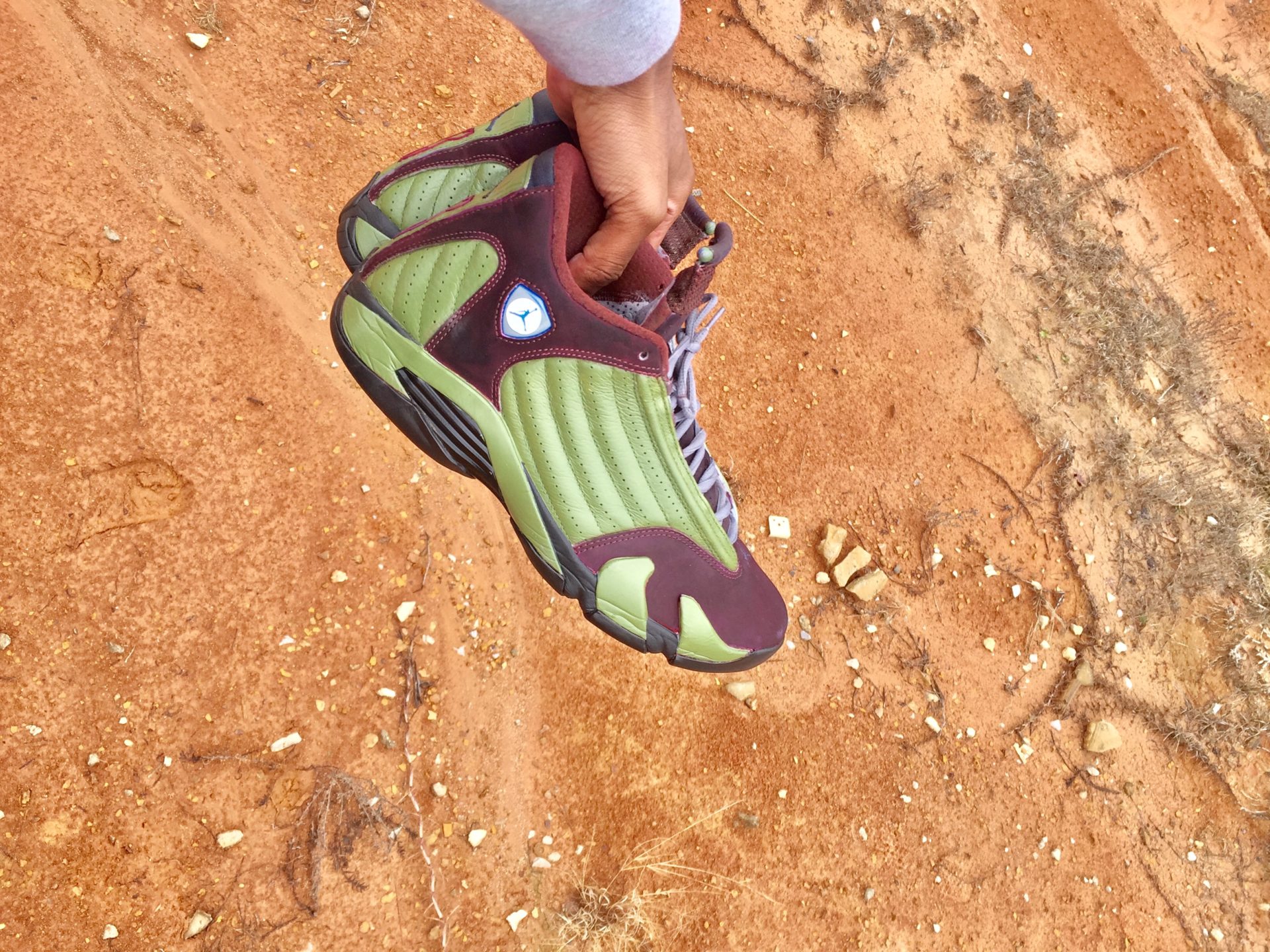 Air Jordan 14 "Beef & Broccoli" Custom by SneakerBeaterz