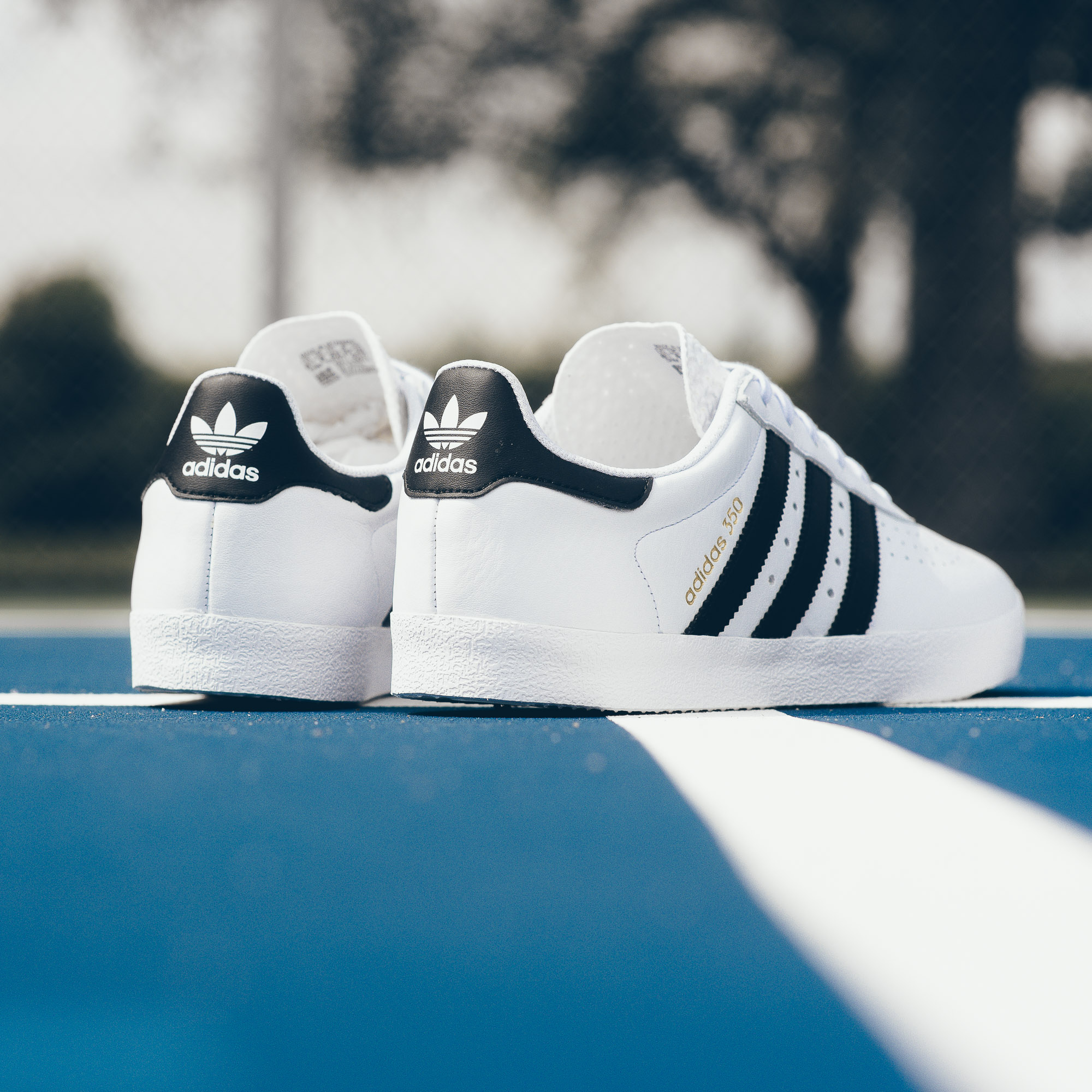 Adidas 350 White/Black/Gold