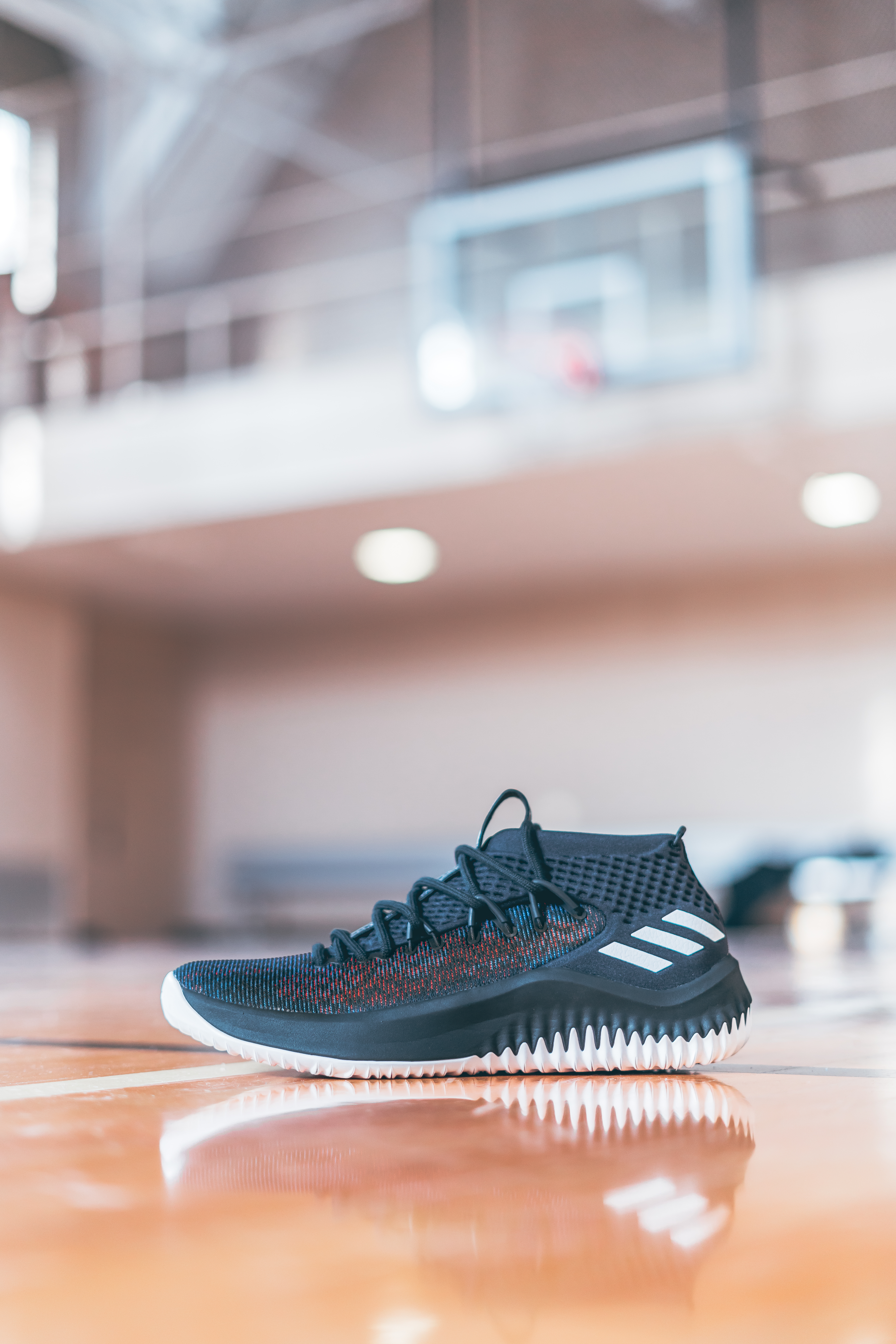 adidas DAME 4 "Static"