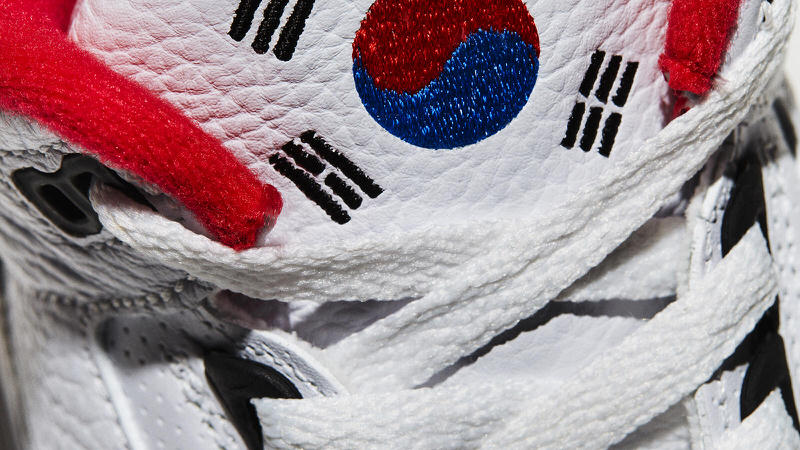 Air Jordan 3 "Seoul"