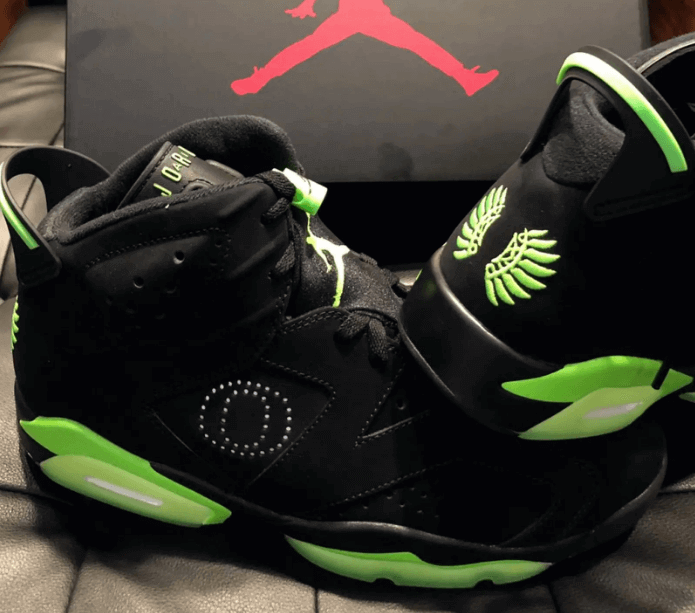 Air Jordan 6 "Ducks" PE