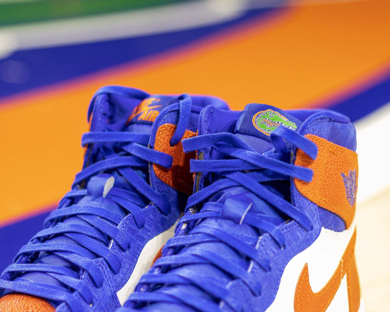 Air Jordan 1 Florida Gators PE