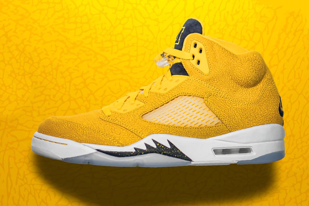 Air Jordan 5 University of Michigan PE