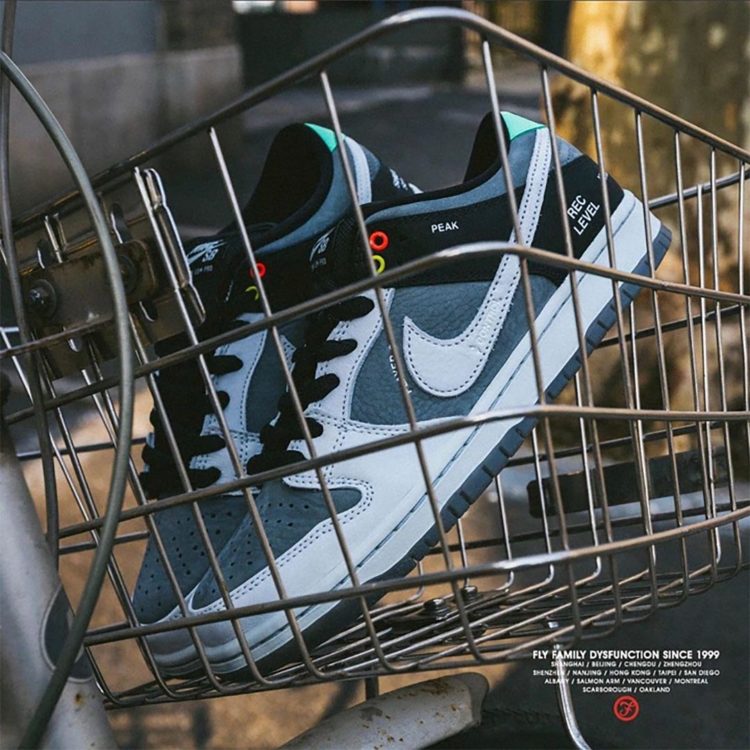 Nike SB Dunk Low "VX1000 Camcorder"