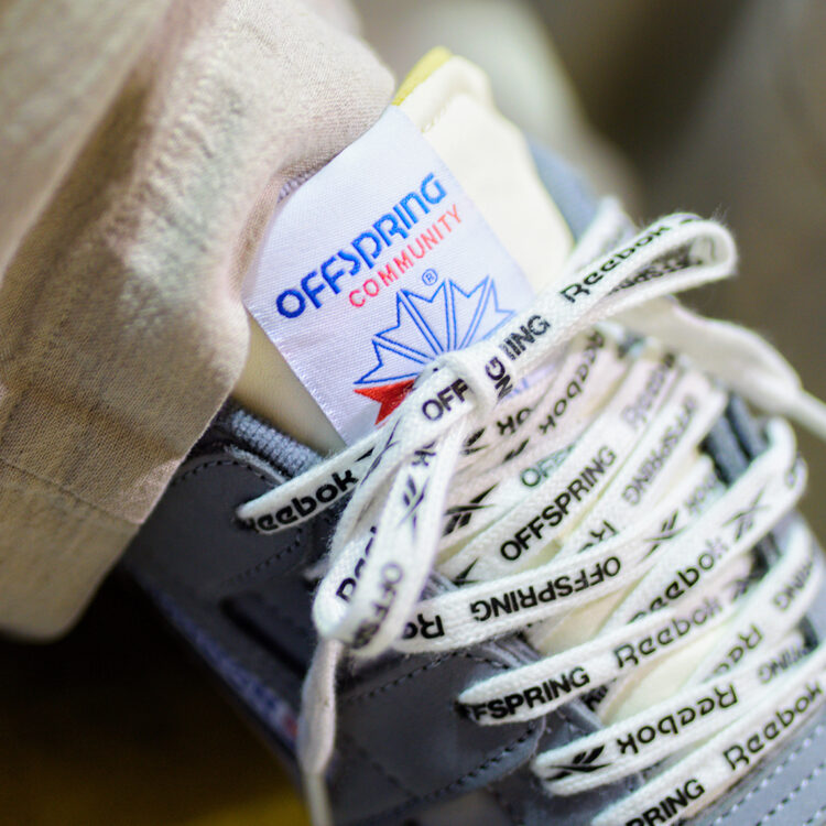 Offspring x Reebok Workout Plus Ice