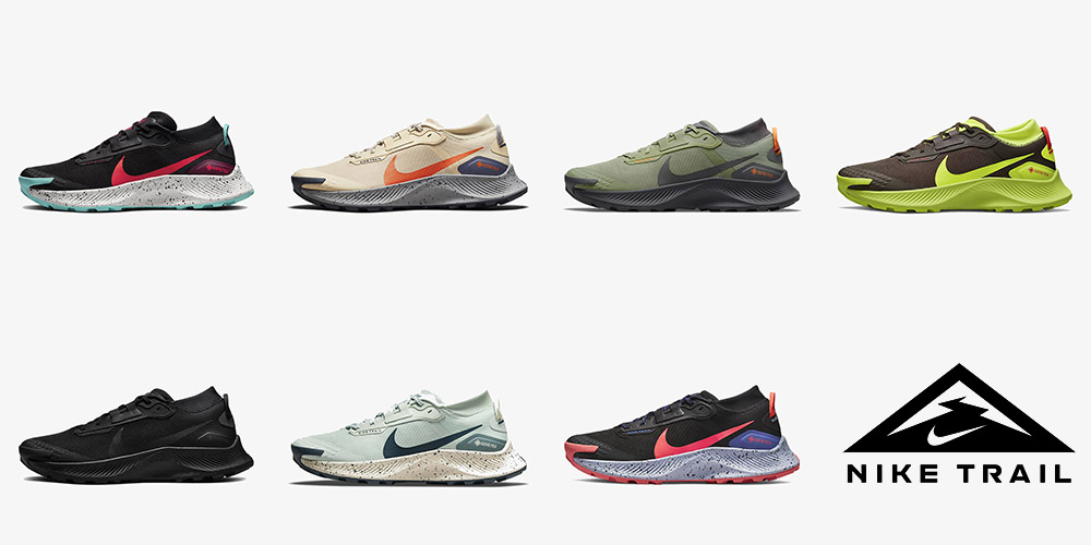 Nike Pegasus Trail 3 GORE-TEX