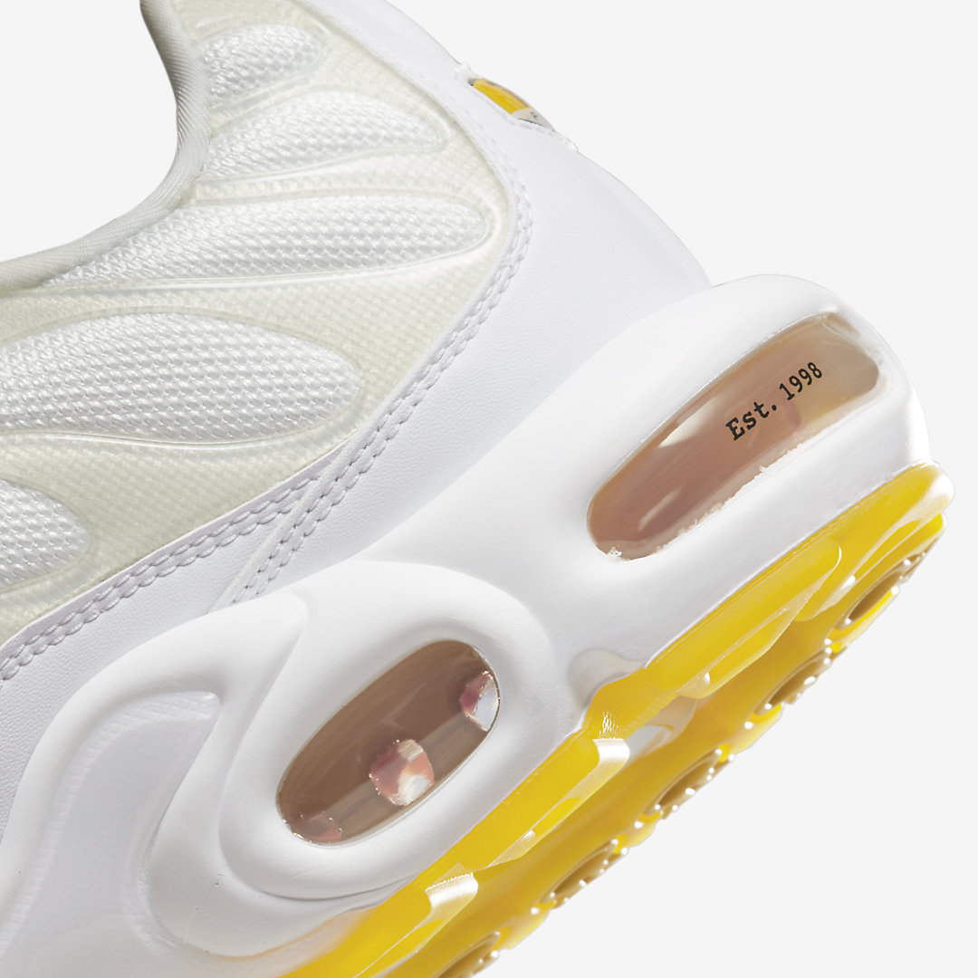 Nike Air Max Plus “M. Frank Rudy” DQ8960-100