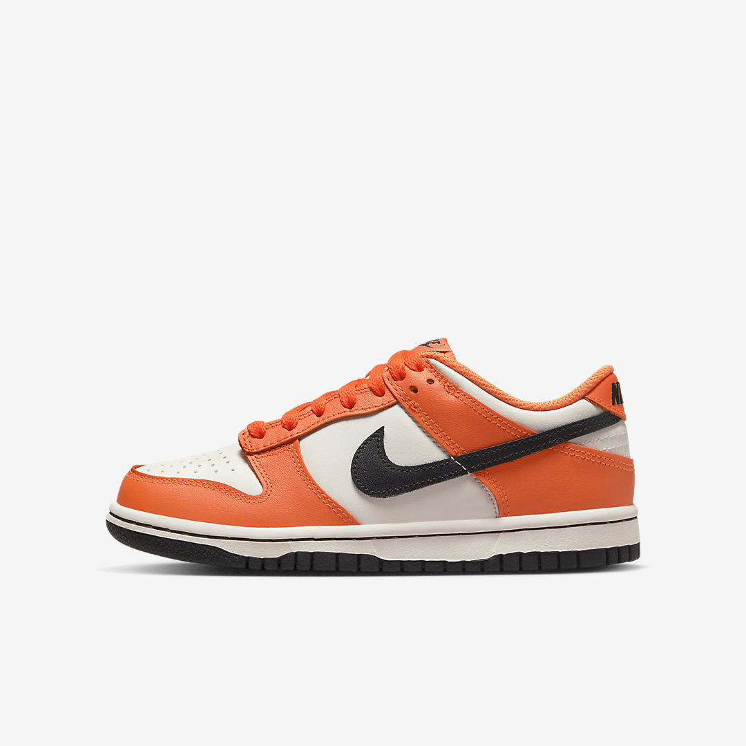 Nike Dunk Low GS DH9765-003