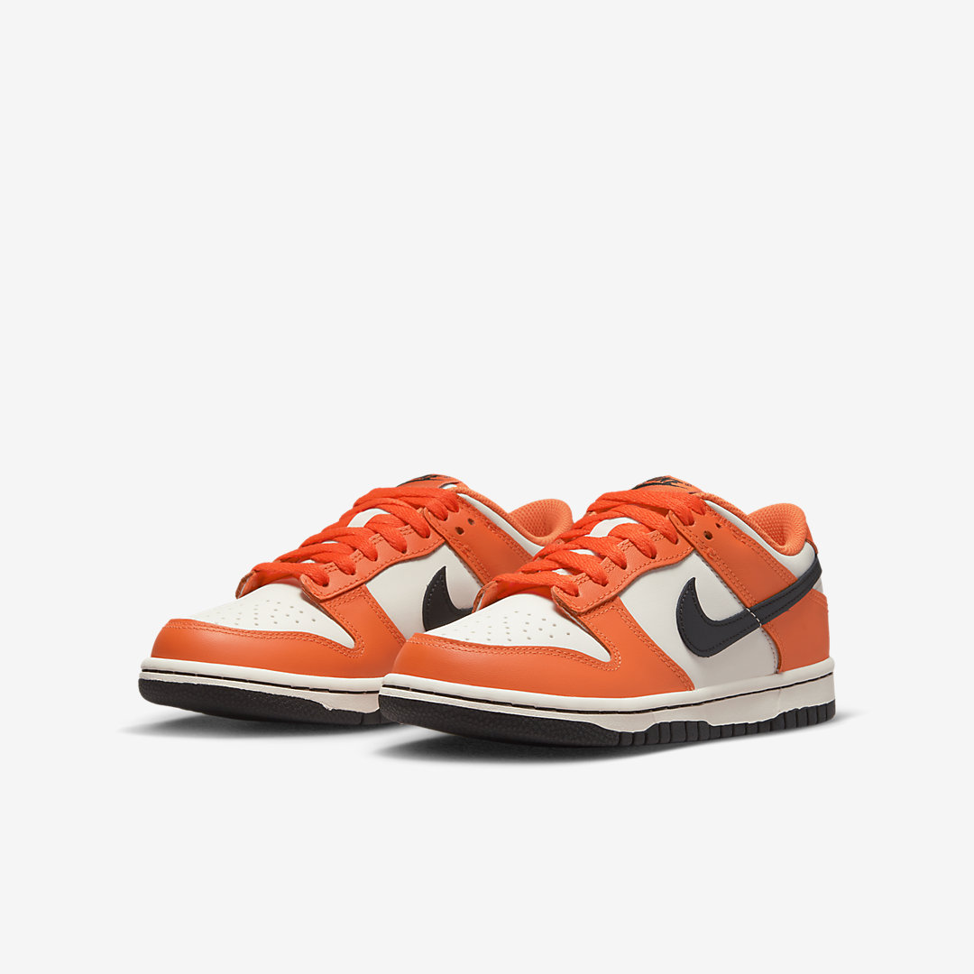 Nike Dunk Low GS DH9765-003