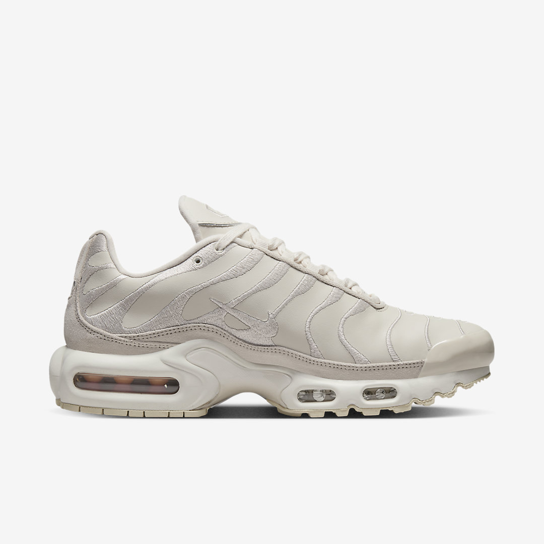 Nike Air Max Plus DZ2832-100