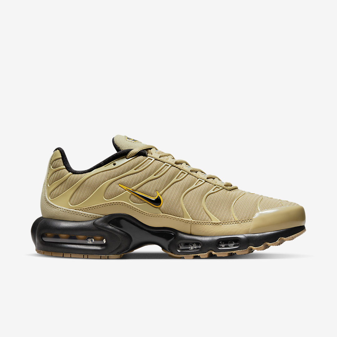 Nike Air Max Plus DZ4501-700