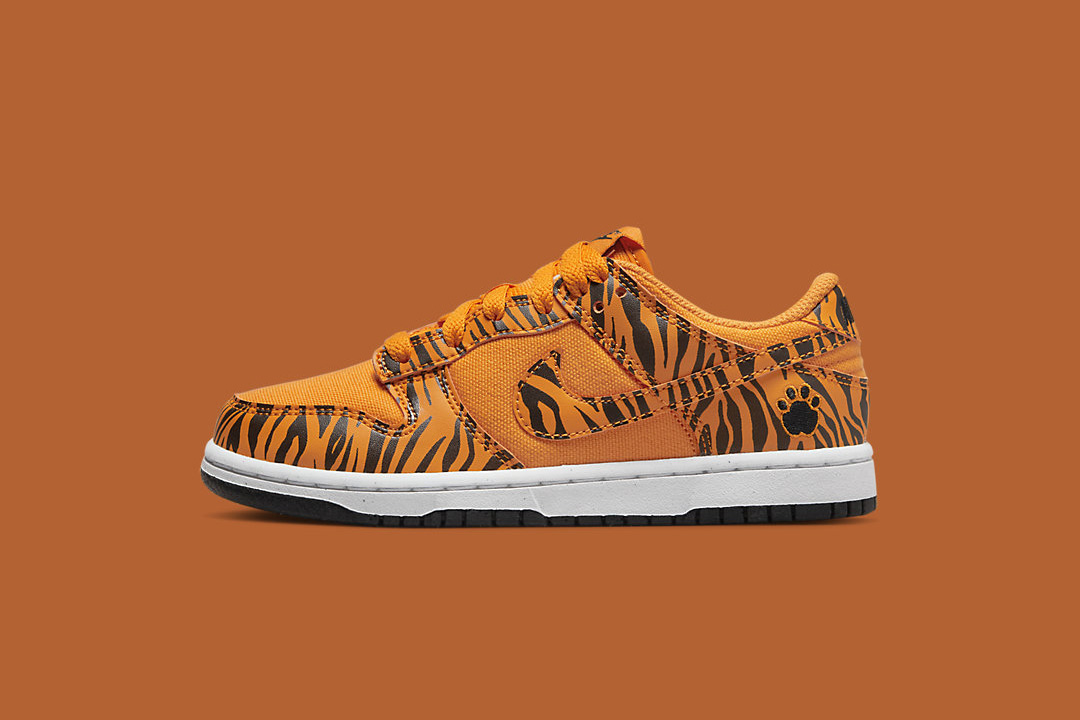 Nike Dunk Low “Tiger Stripes” DZ5633-800