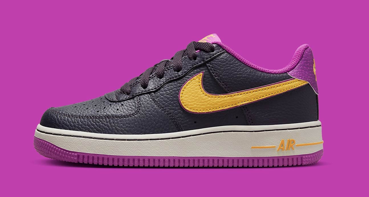 Nike Air Force 1 Low GS DX5805-500