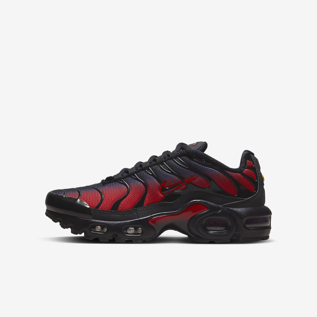 Nike Air Max Plus GS FB8024-600