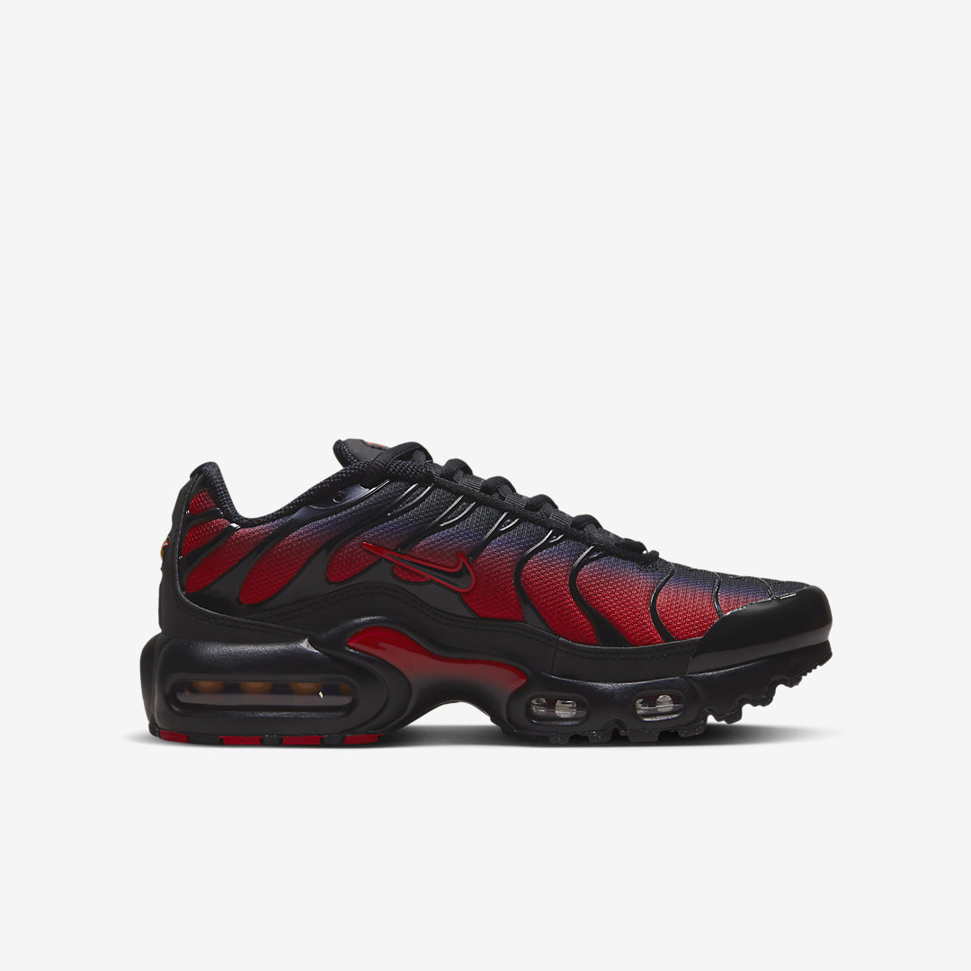 Nike Air Max Plus GS FB8024-600