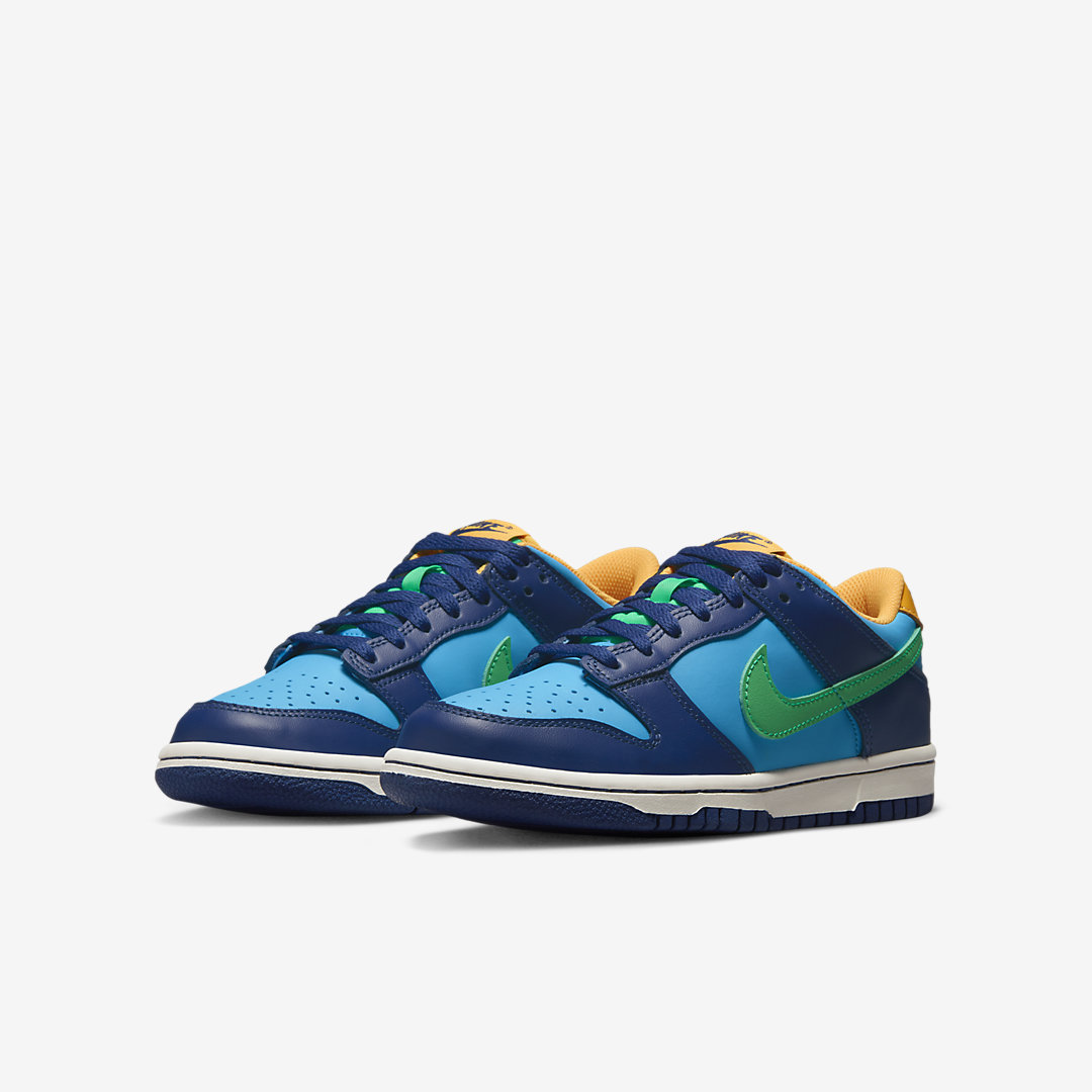 Nike Dunk Low GS DV1693-401