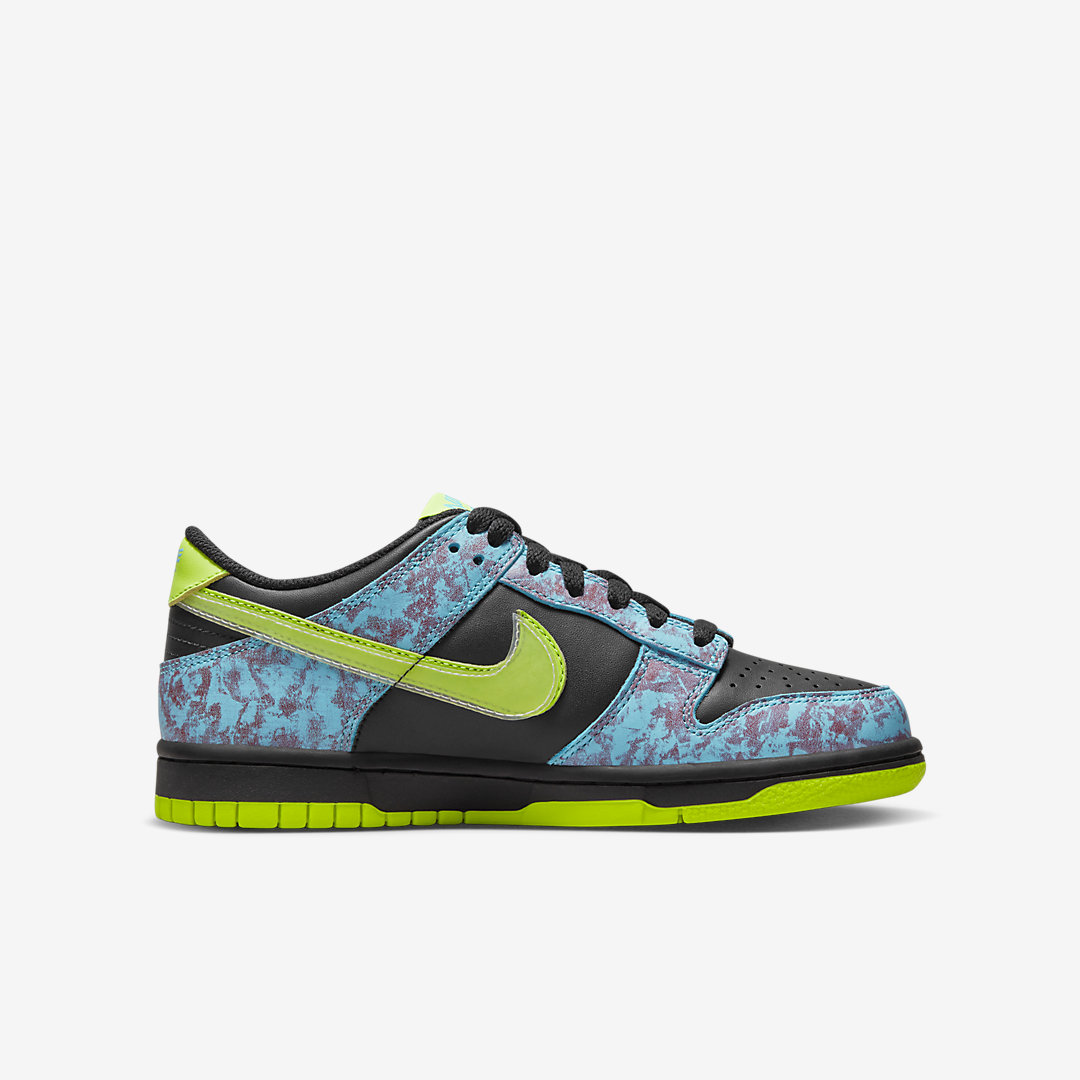 Nike Dunk Low GS DV1694-900