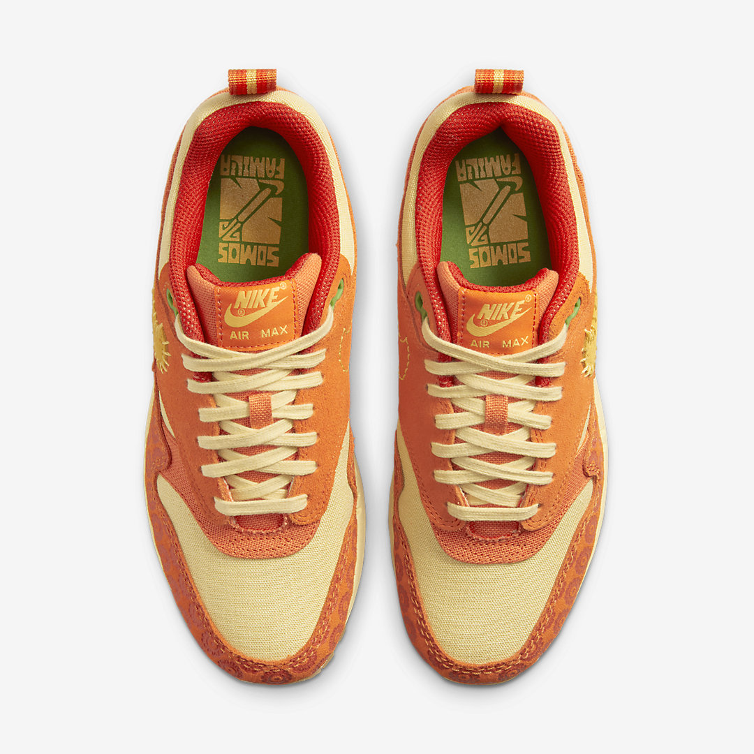 Nike Air Max 1 WMNS DZ5352-847