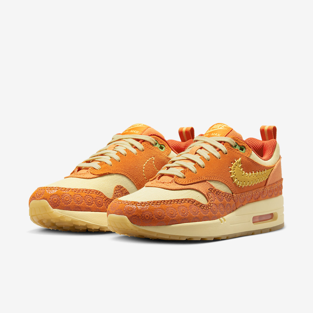 Nike Air Max 1 WMNS DZ5352-847