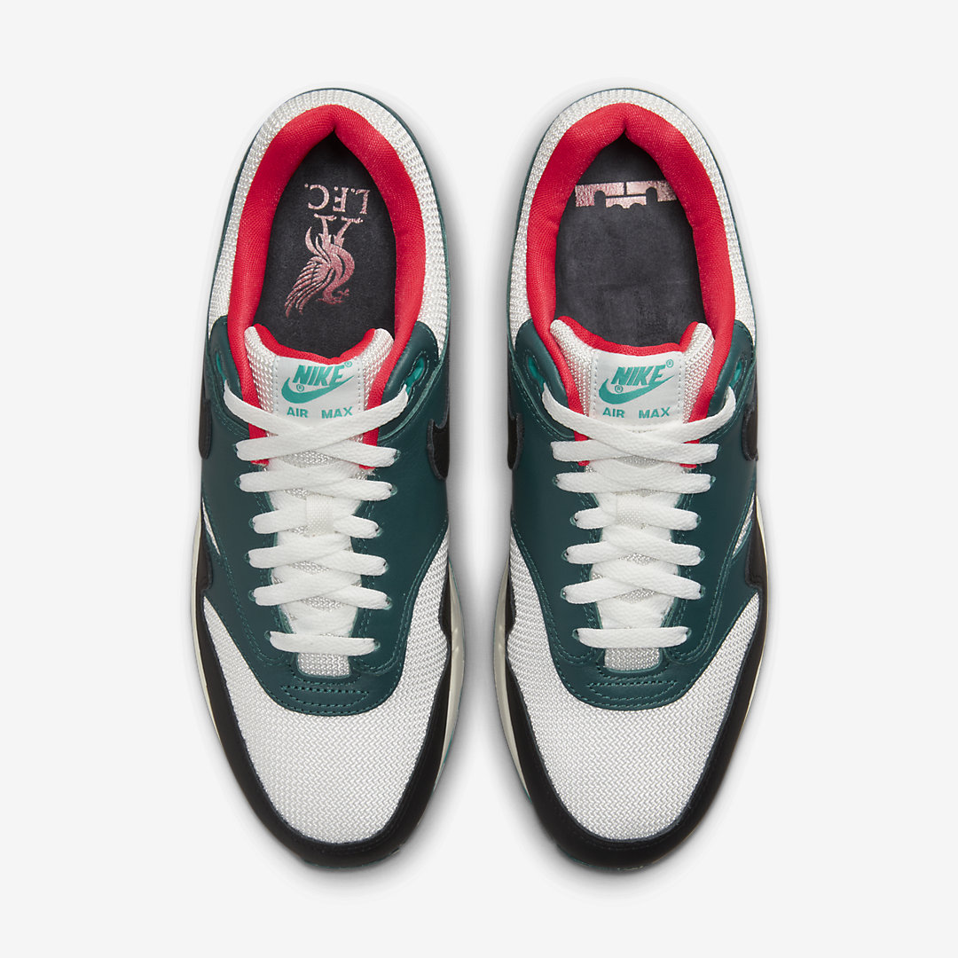 LeBron x Nike Air Max 1 FB8914-100