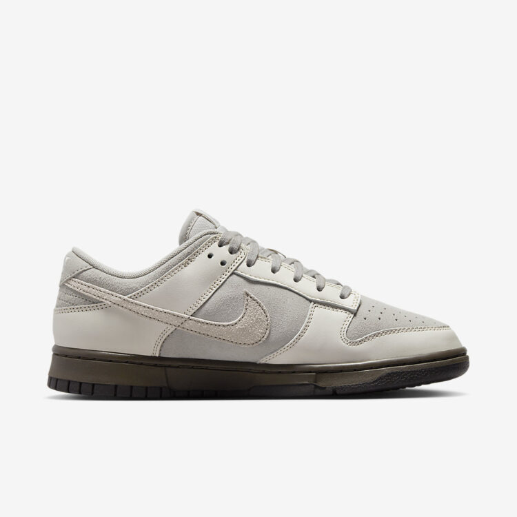 Nike Dunk Low "Ironstone" FD9746-001