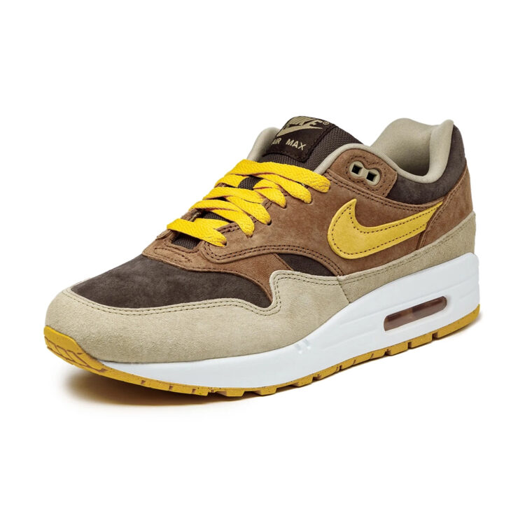 Nike Air Max 1 “Ugly Duckling” DZ0482-200