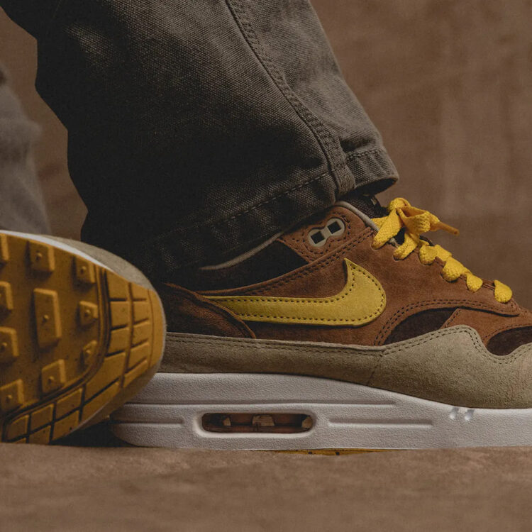 Nike Air Max 1 “Ugly Duckling” DZ0482-200