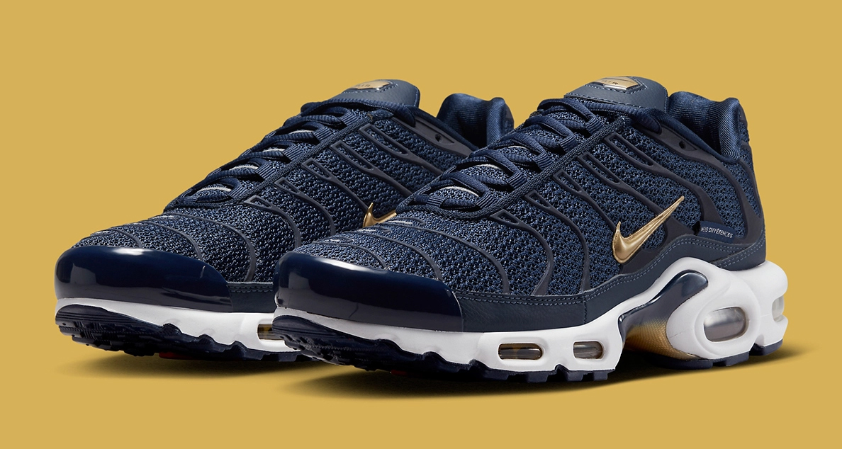 Nike Air Max Plus "French Football Federation" DZ0480-300