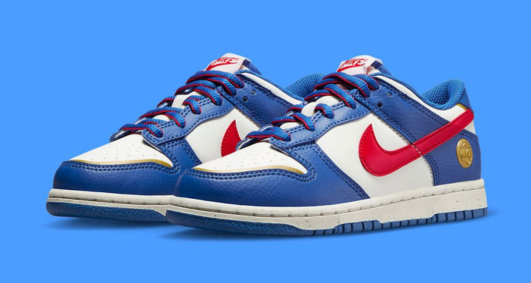 Nike Dunk Low GS "Superhero" FD0673-400