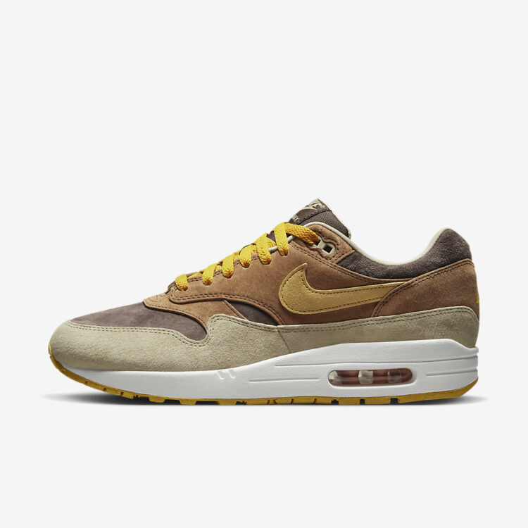 Nike Air Max 1 "Ugly Duckling" DZ0482-200