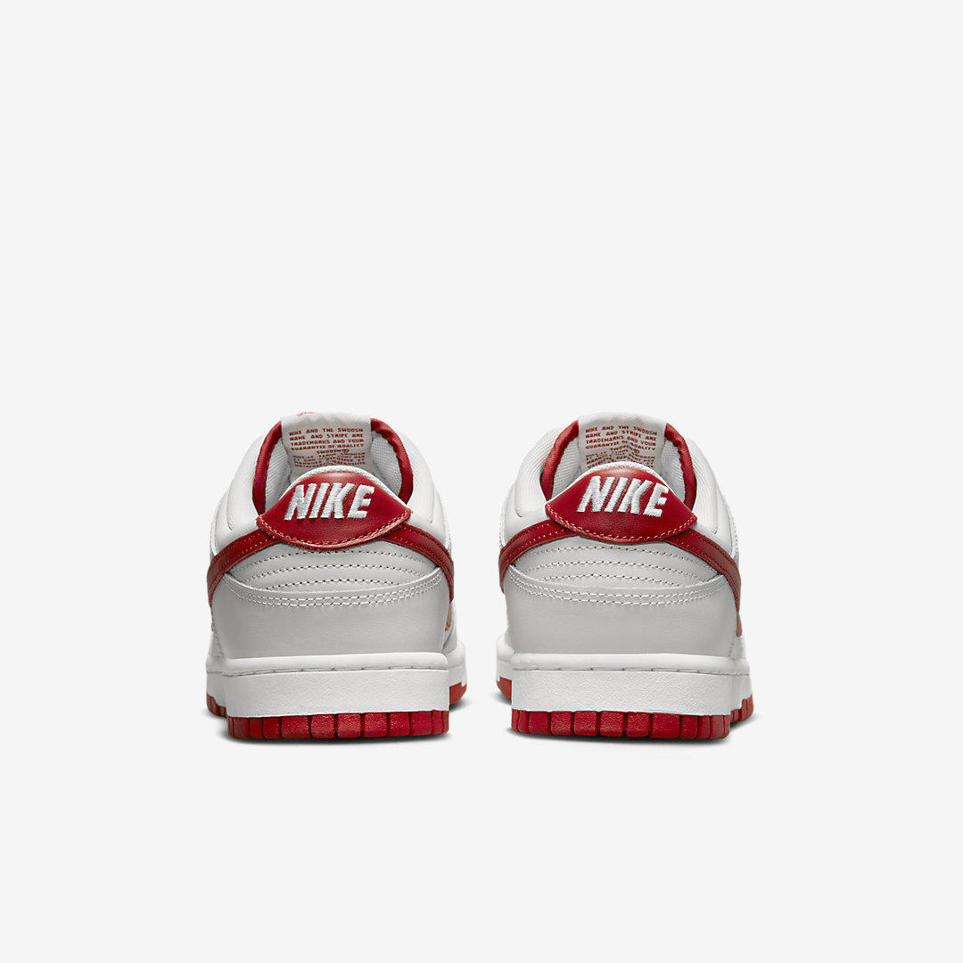 Nike Dunk Low FJ0832-011