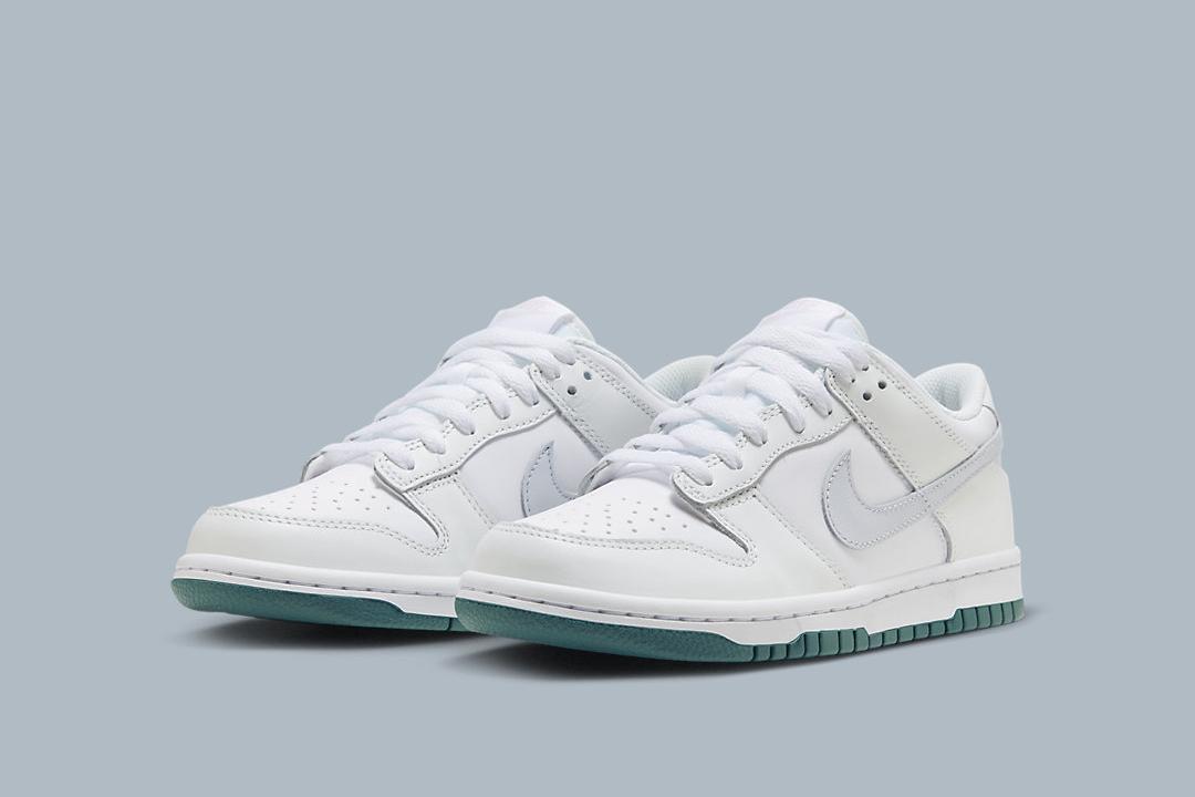 Nike Dunk Low GS FD9911-101