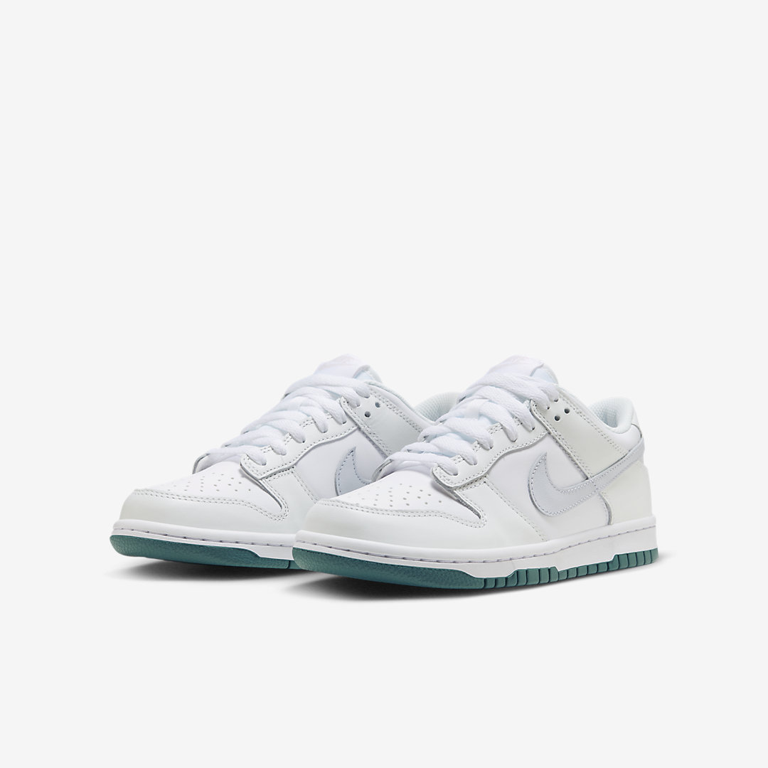 Nike Dunk Low GS FD9911-101